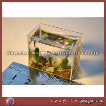 Smallest Aquarium Tank Acrylic Aquariums